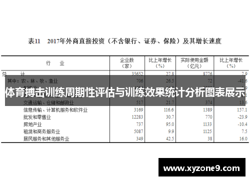 体育搏击训练周期性评估与训练效果统计分析图表展示